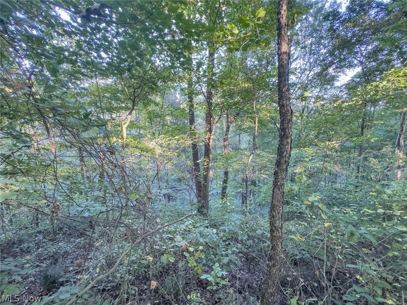 0 Marlatt Run Road, Kimbolton, OH 43832 Photo 12