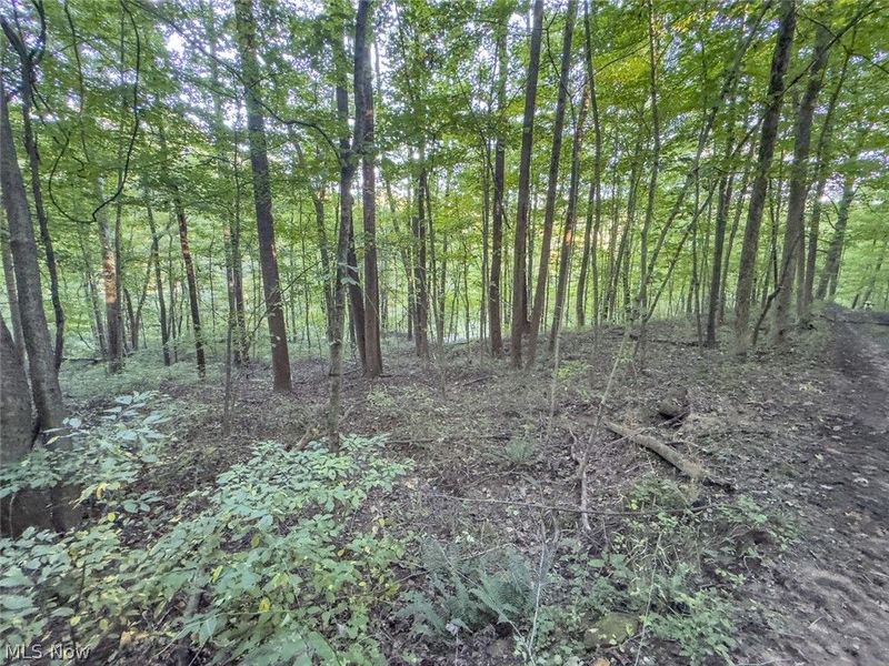 0 Marlatt Run Road, Kimbolton, OH 43832 Photo 19