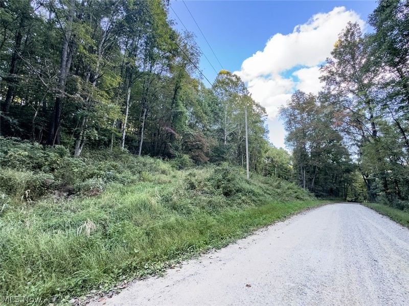 0 Marlatt Run Road, Kimbolton, OH 43832 Photo 2