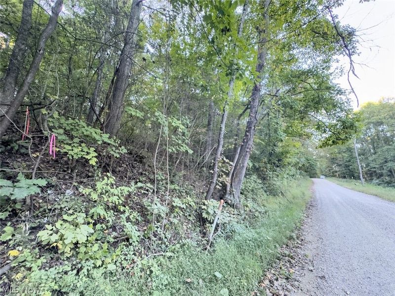 0 Marlatt Run Road, Kimbolton, OH 43832 Photo 22