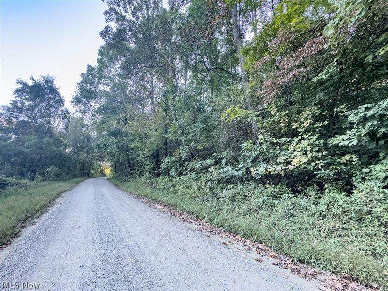 0 Marlatt Run Road, Kimbolton, OH 43832 Photo 23