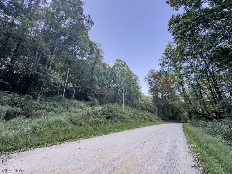 0 Marlatt Run Road, Kimbolton, OH 43832 Photo 24