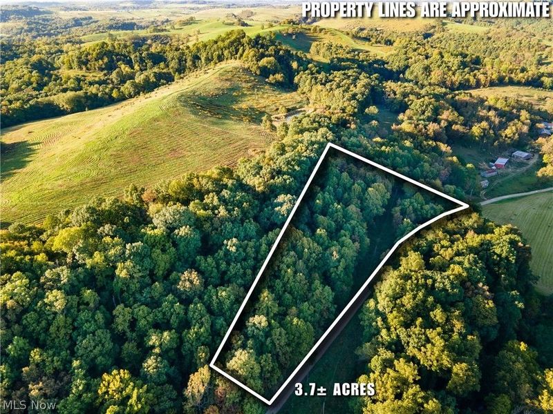 0 Marlatt Run Road, Kimbolton, OH 43832 Photo 30