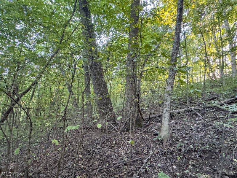0 Marlatt Run Road, Kimbolton, OH 43832 Photo 8