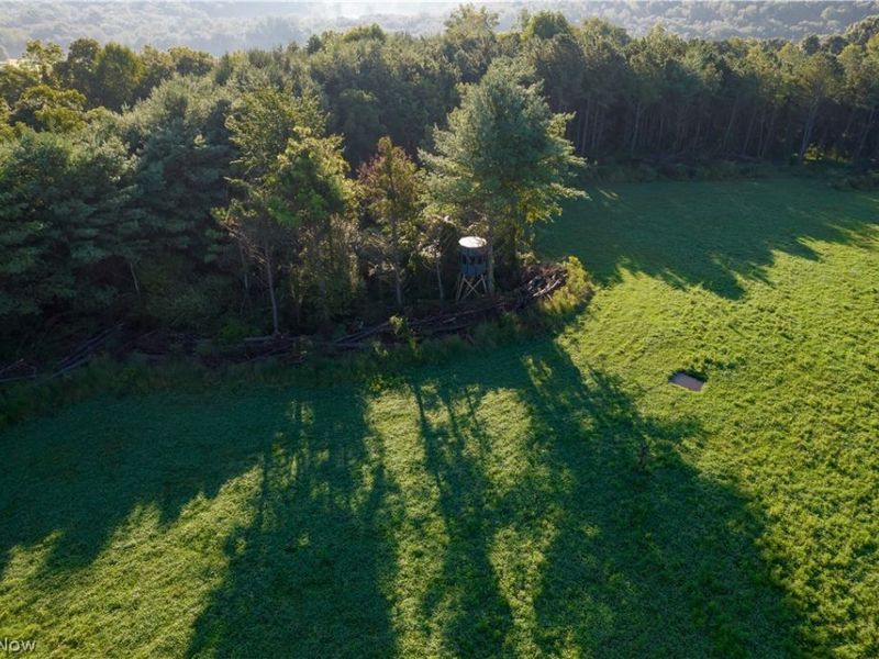 Perl Road, Chandlersville, OH 43727 Photo 1