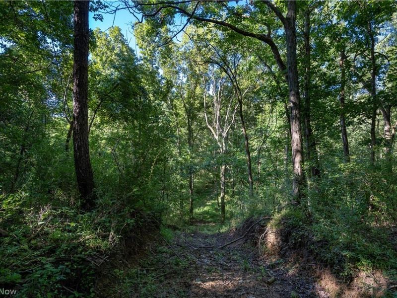 Perl Road, Chandlersville, OH 43727 Photo 10