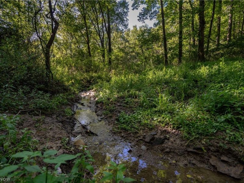 Perl Road, Chandlersville, OH 43727 Photo 11