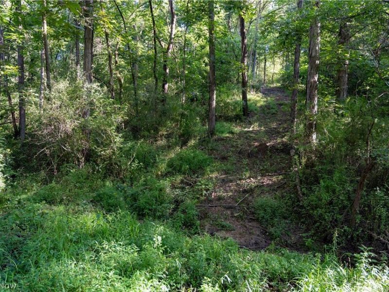 Perl Road, Chandlersville, OH 43727 Photo 12