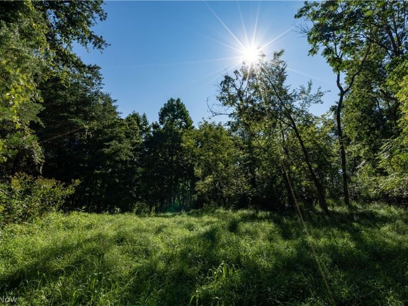 Perl Road, Chandlersville, OH 43727 Photo 15