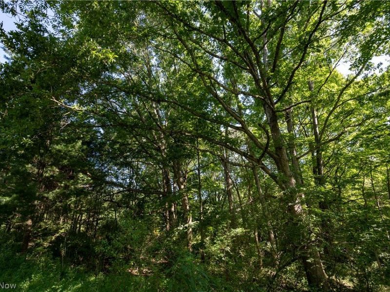 Perl Road, Chandlersville, OH 43727 Photo 18