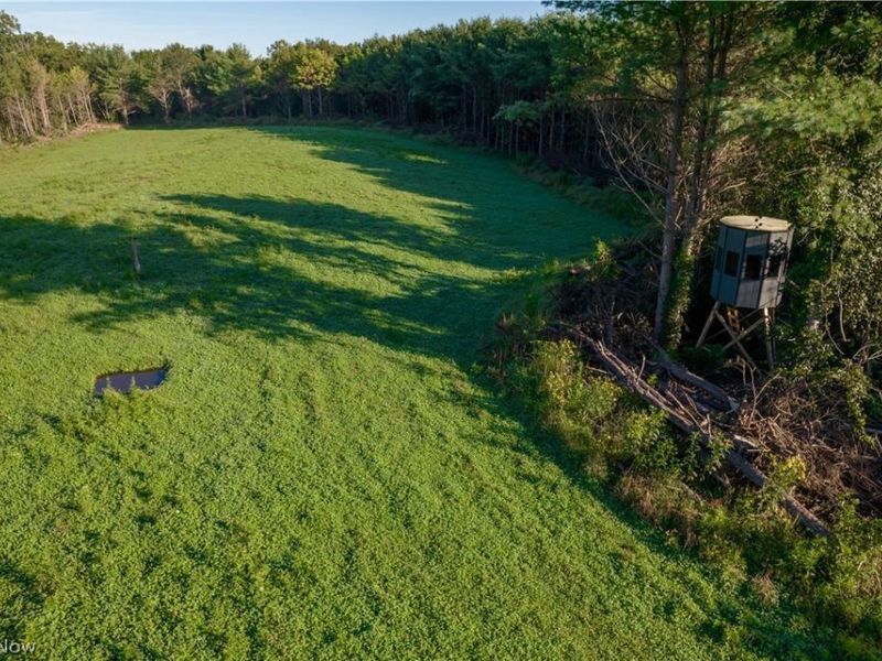 Perl Road, Chandlersville, OH 43727 Photo 2