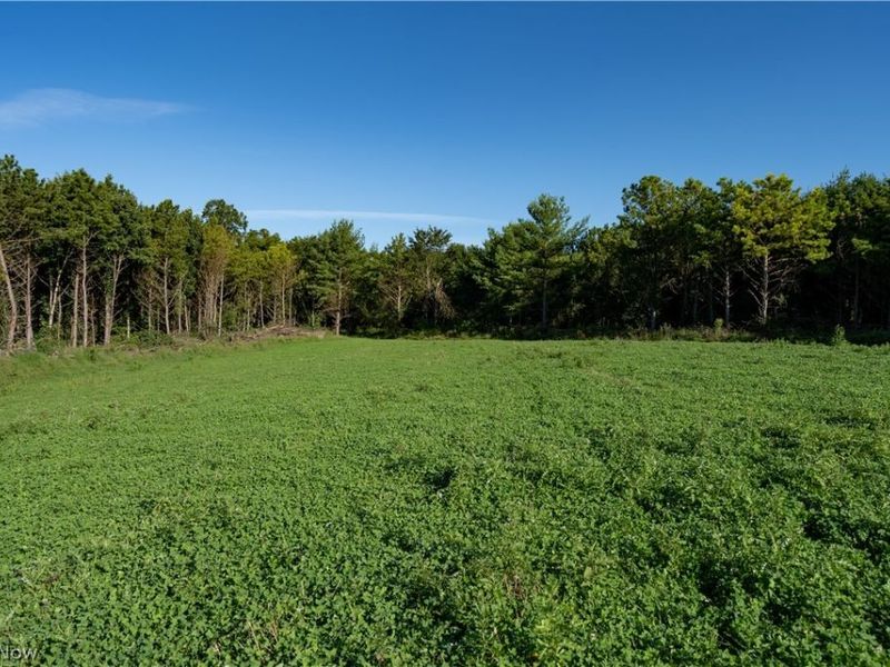 Perl Road, Chandlersville, OH 43727 Photo 4
