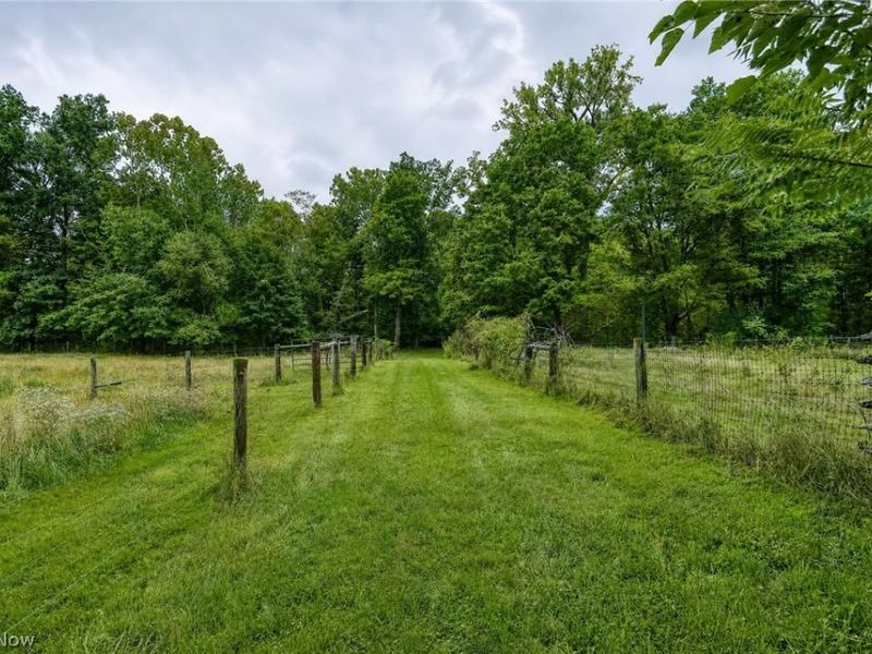 11226 Sperry Road, Chesterland, OH 44026 Photo 34