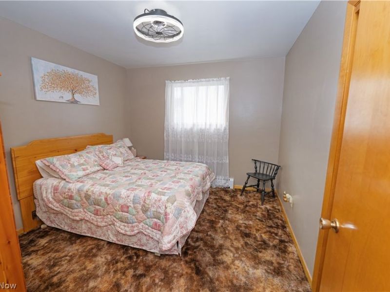 1325 Braceville Robinson Road, Southington, OH 44470 Photo 29