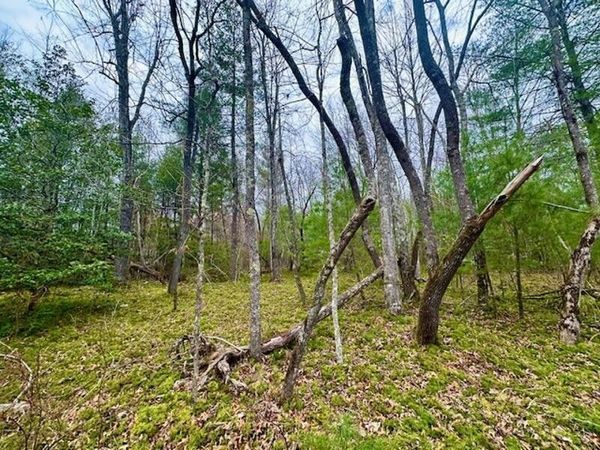 144 Gunter Place Rd , Unit #4, Sunbright, TN 37872