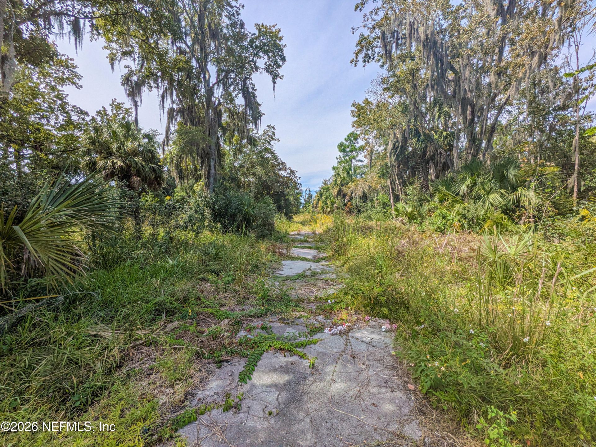 5322 Catoma Street, Jacksonville, FL 32210 Photo