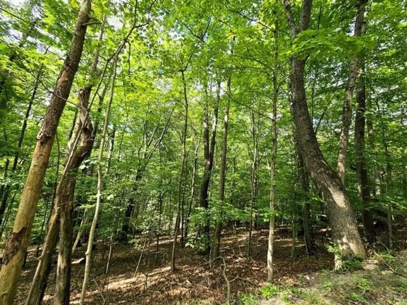 1756 Mohican Lane , Hideaway Hills, OH 43107 Photo 1