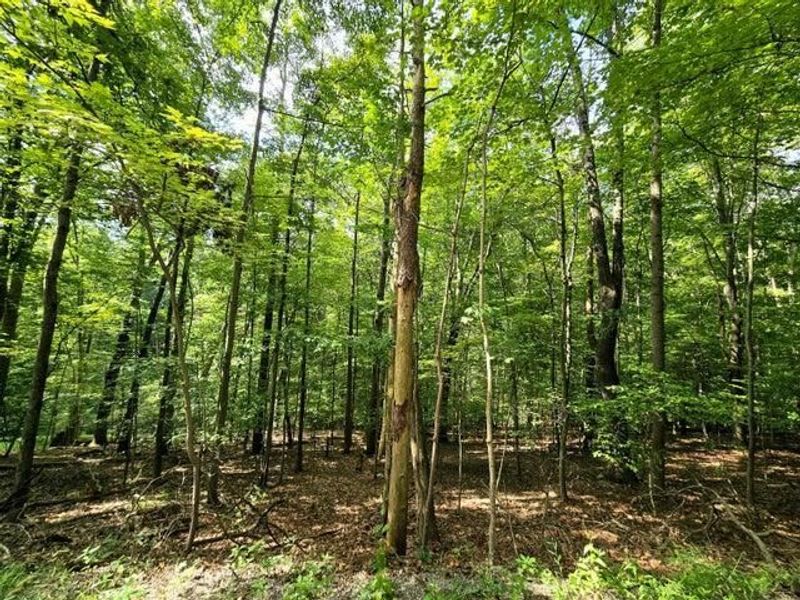 1756 Mohican Lane , Hideaway Hills, OH 43107 Photo 2
