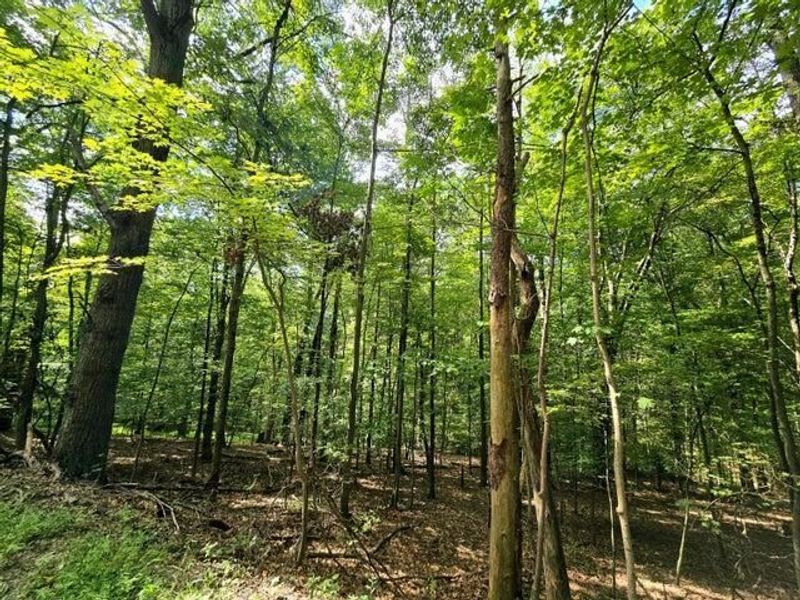 1756 Mohican Lane , Hideaway Hills, OH 43107 Photo 3