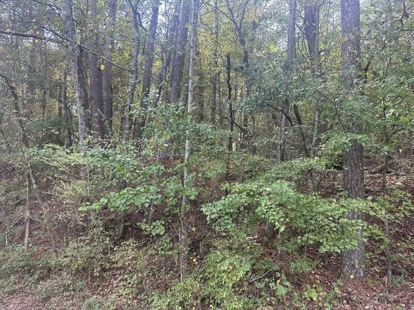 0 Carver Mill Road, Talking Rock, GA 30175