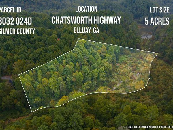 14-17 Conasauga Drive, Ellijay, GA 30540