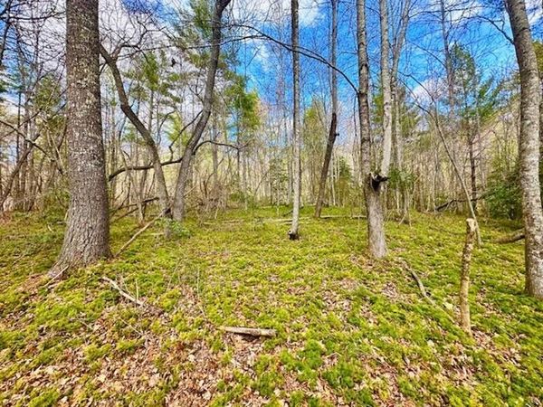 144 Gunter Place Rd , Unit #3, Sunbright, TN 37872