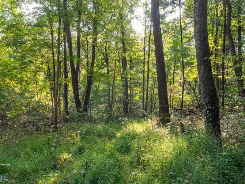 10772 Lawndell Road SW, Unit 3, Navarre, OH 44662 Photo 15
