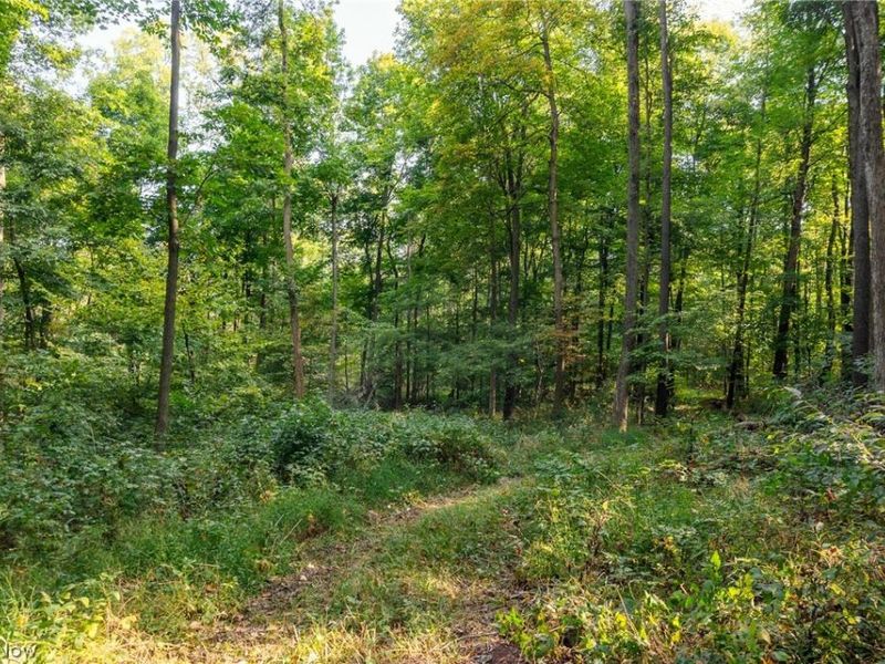 10772 Lawndell Road SW, Unit 3, Navarre, OH 44662 Photo 18