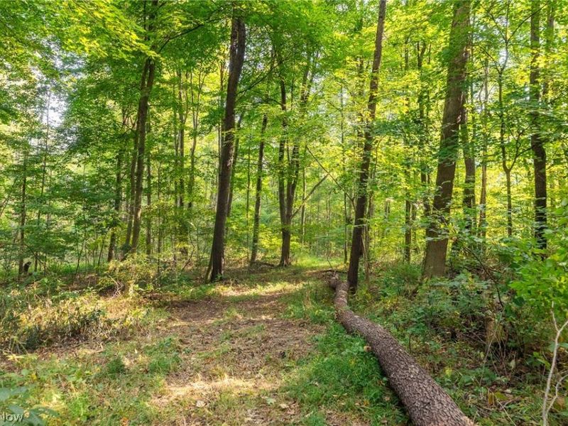 10772 Lawndell Road SW, Unit 3, Navarre, OH 44662 Photo 5
