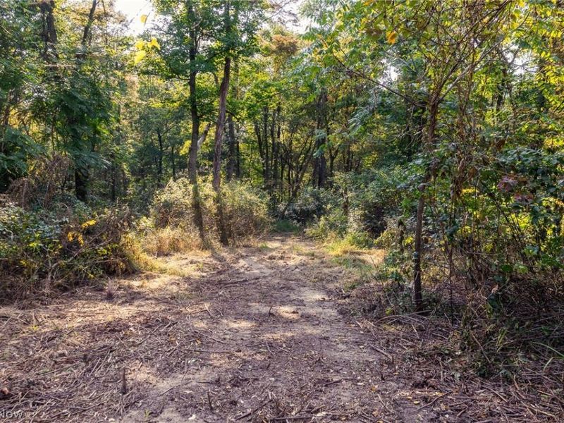10772 Lawndell Road SW, Unit 3, Navarre, OH 44662 Photo 8