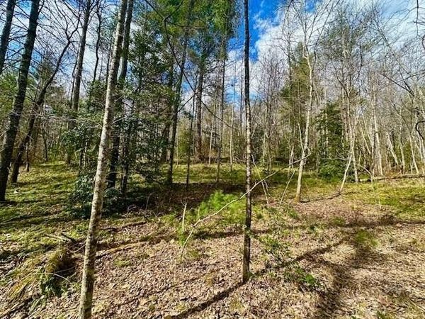 144 Gunter Place Rd, Unit #2, Sunbright, TN 37872