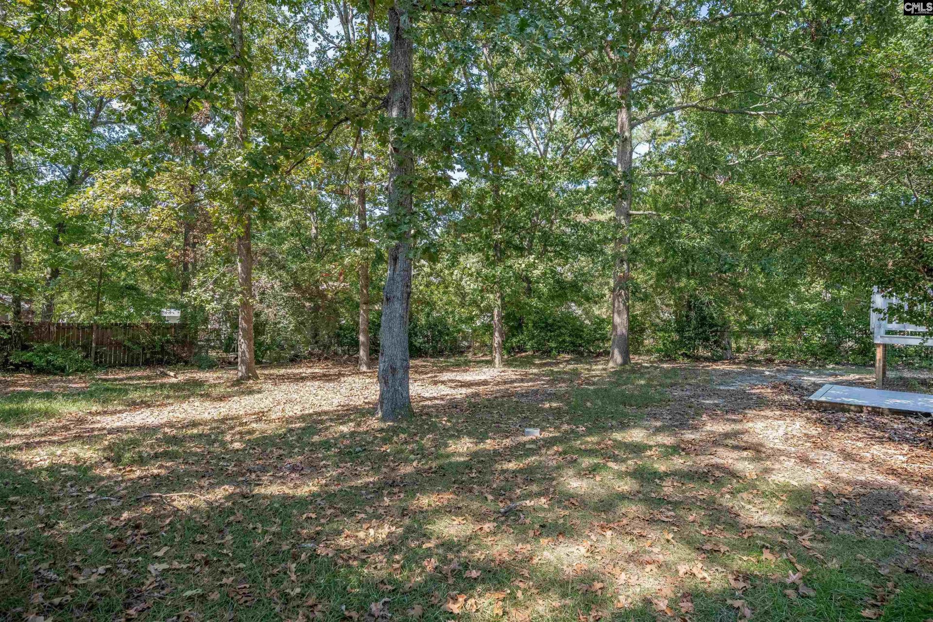 204 River Song Road Photo 33