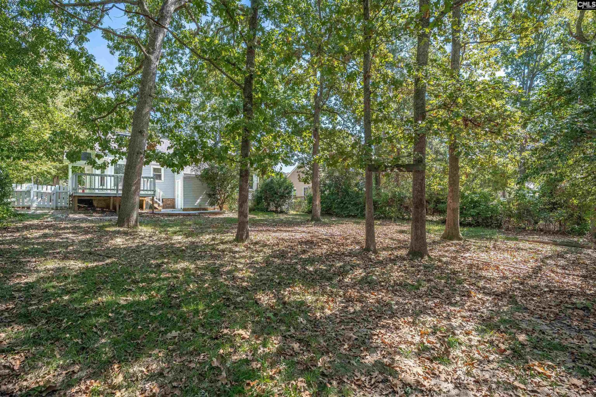 204 River Song Road Photo 35