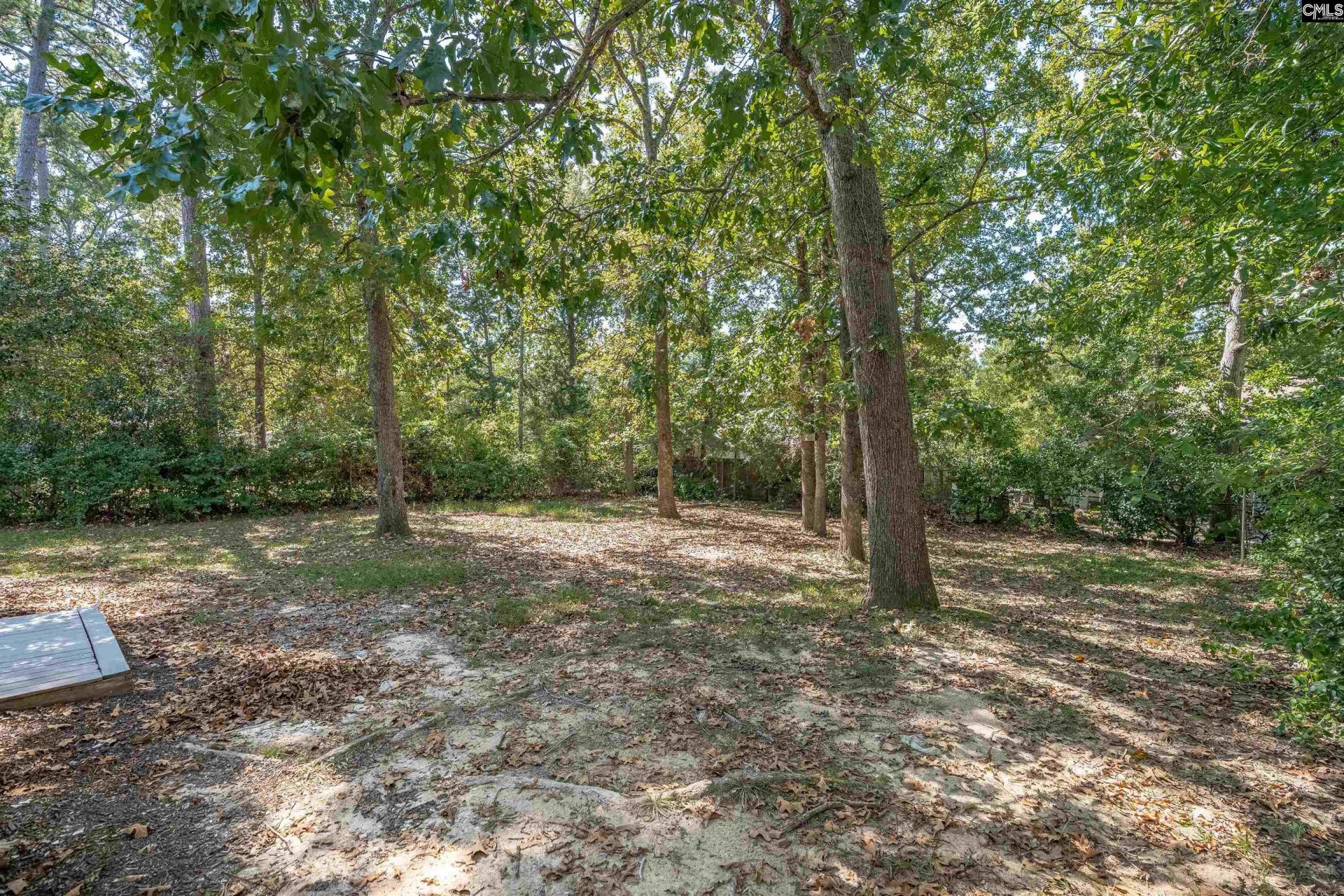 204 River Song Road Photo 36