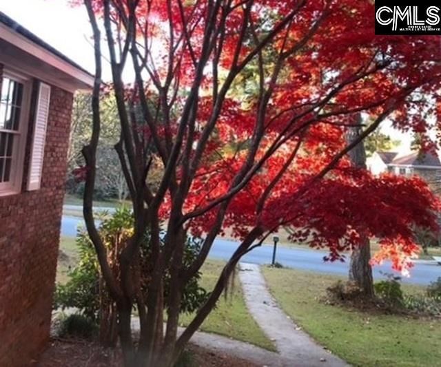 261 White Falls Drive  Photo 25