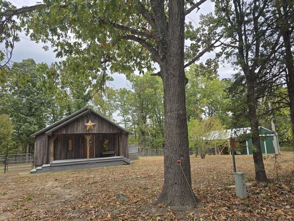 687 County Road 917 , Theodosia, MO 65761