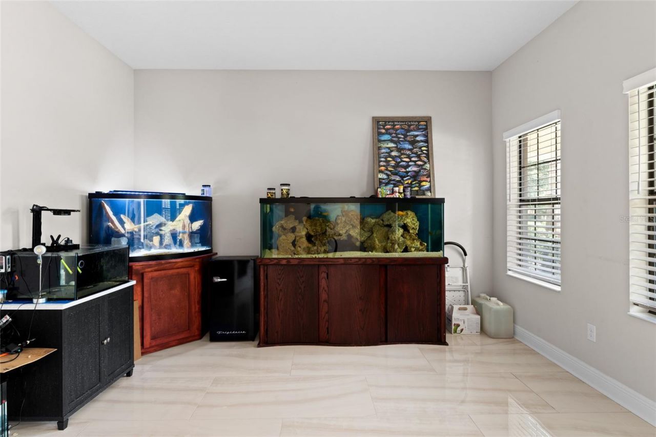 13826 Moonstone Canyon Drive, Riverview, FL 33579 Photo