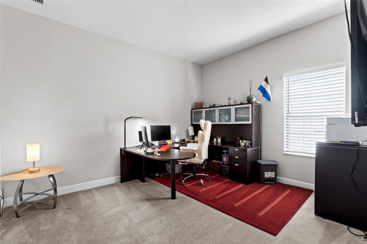 13826 Moonstone Canyon Drive, Riverview, FL 33579 Photo