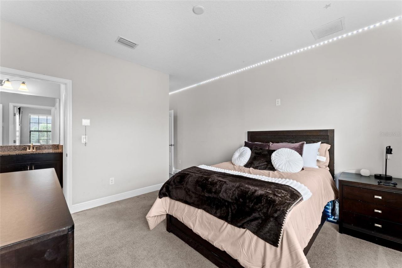 13826 Moonstone Canyon Drive, Riverview, FL 33579 Photo
