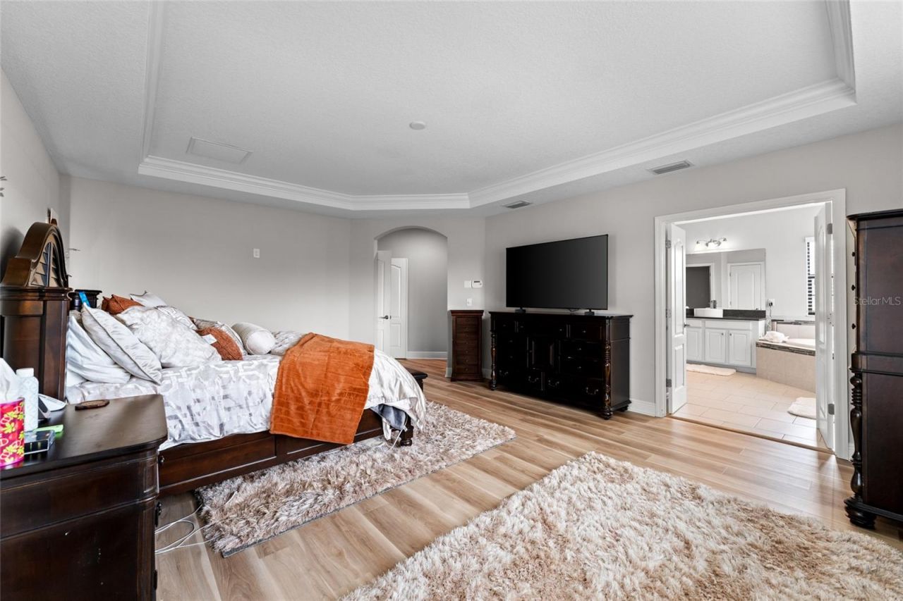 13826 Moonstone Canyon Drive, Riverview, FL 33579 Photo