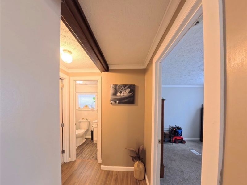 42153 Ash Street, Reedsville, OH 45772 Photo 10