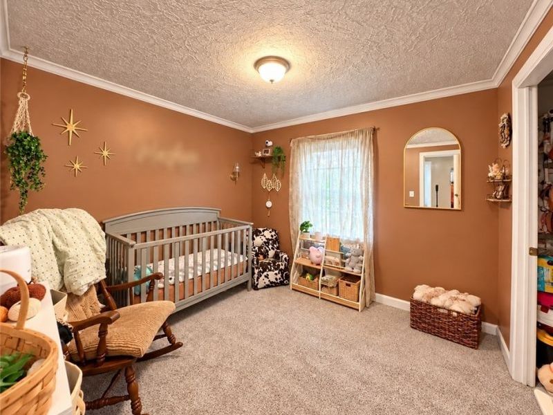 42153 Ash Street, Reedsville, OH 45772 Photo 12