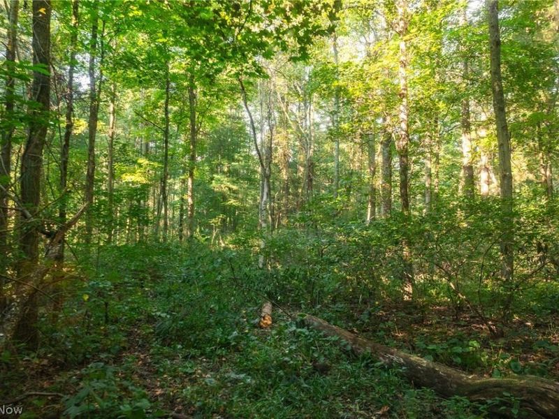 10772 Lawndell Road SW, Unit 5, Navarre, OH 44662 Photo 4