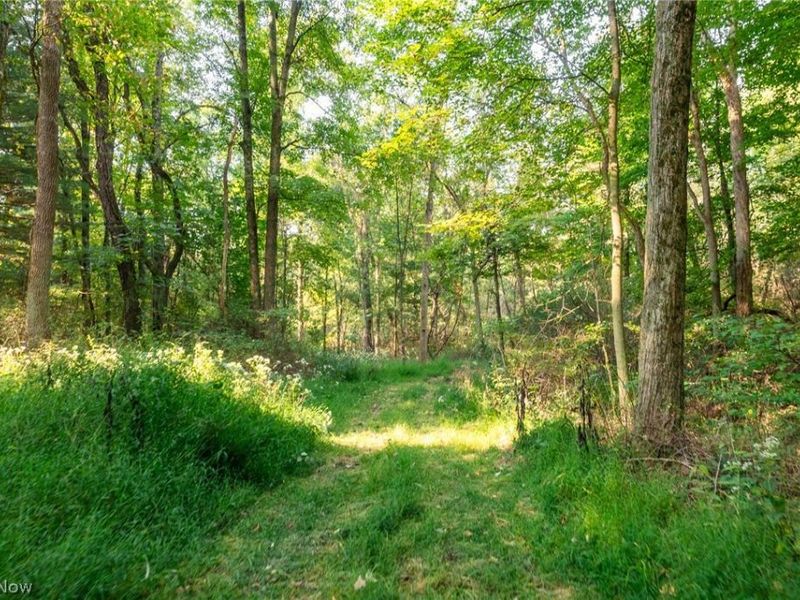 10772 Lawndell Road SW, Unit 5, Navarre, OH 44662 Photo 5