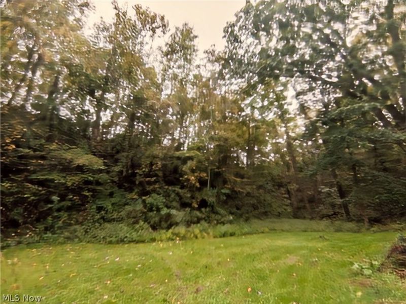 46650 Carlisle Road, Lisbon, OH 44432 Photo 26