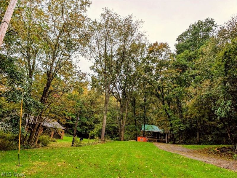 46650 Carlisle Road, Lisbon, OH 44432 Photo 29