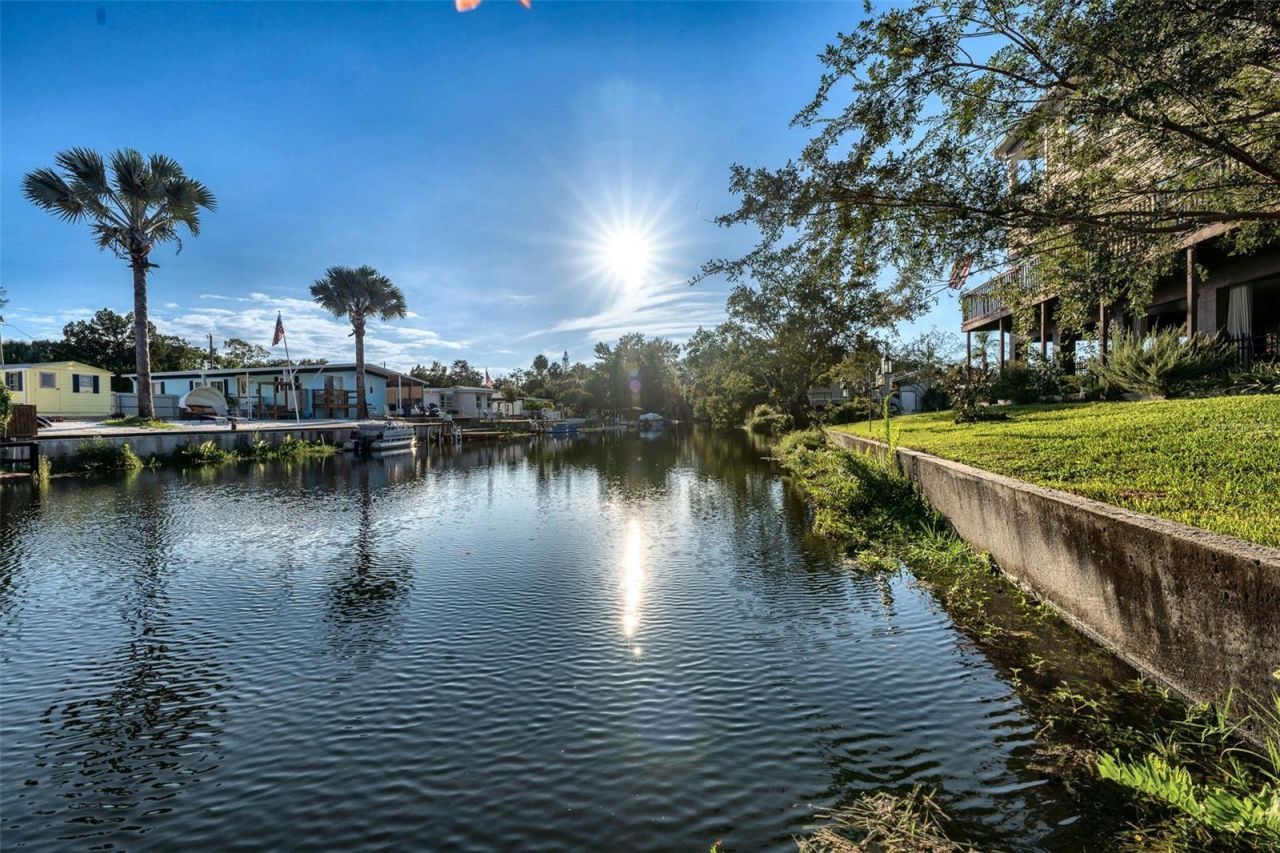 7247 Arbordale Drive, Weeki Wachee, FL 34607 Photo