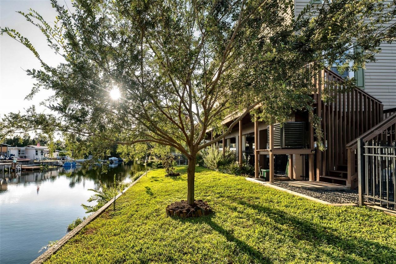 7247 Arbordale Drive, Weeki Wachee, FL 34607 Photo