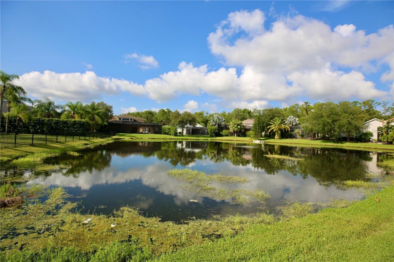 14824 Tudor Chase Drive, Tampa, FL 33626 Photo