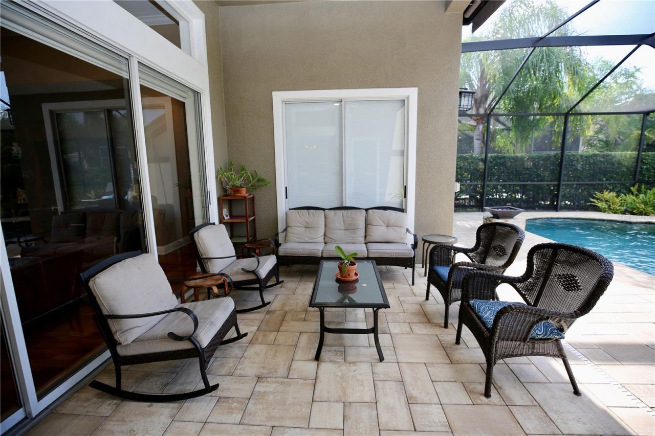14824 Tudor Chase Drive, Tampa, FL 33626 Photo
